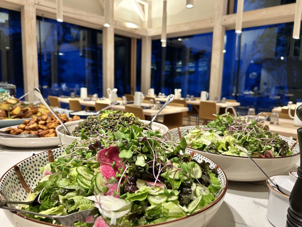 Fresh meals served at Bloom